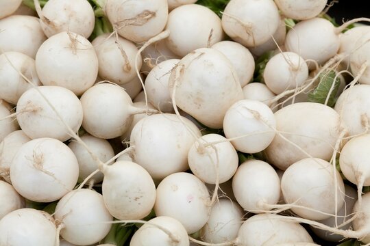 USA, California, La Jolla Farmer's Market, Organic vegetables