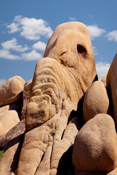 USA, California, Joshua Tree National Park, Elephant Rock