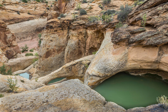 The Tanks - Utah, Capitol Reef National Park
