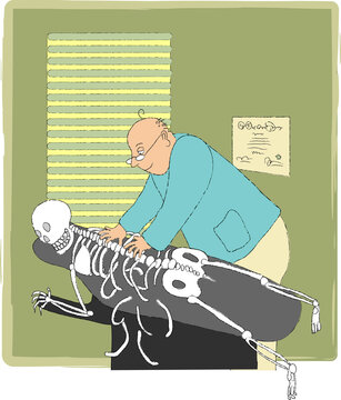 Chiropractor massaging human skeleton