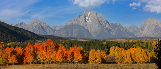 Grand Teton mountains with colorful fall foliage in front.