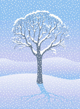 Winter Tree, illustration