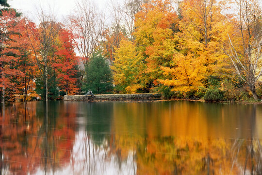 USA, New Hampshire, Fall trees surrounding Ossipee Lake