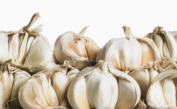 Side on view of bulbs of garlic