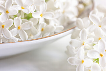 Naklejka na ściany i meble White Lilac flower background. White lilac on a plate on white background, white floral background