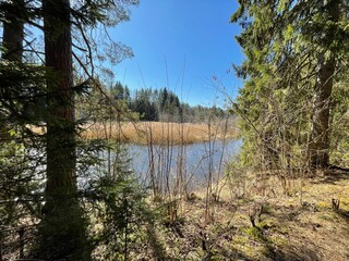 Hiking near the river