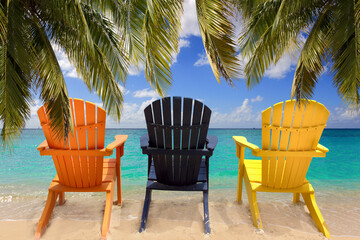 Three colorful beach chairs under palm branches