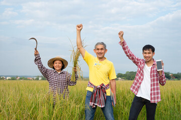 asian farmer hands raising congratulation gesture for successful to step up rice breeding, agricultural team such as female farmer,researcher and young man smart farmer working in paddy field