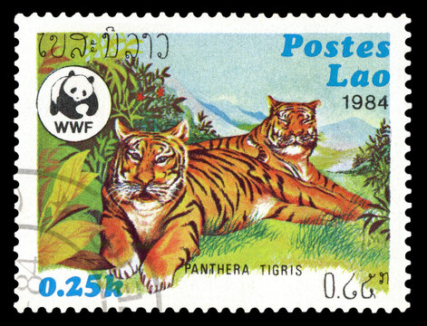 Postage stamp. Adult tigers.