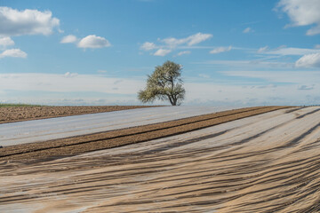 Feld mit Schutzfolie bespannt