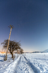 winter landscape with trees at night