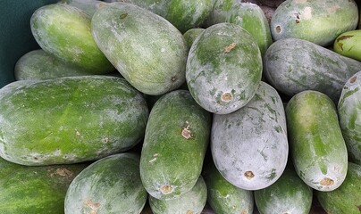 Bunch of fresh Benincasa hispida, the wax gourd, also called ash, white, winter, tallow gourd, ash pumpkin and winter melon stacked together on asian market after harvesting. Closeup macro side view.