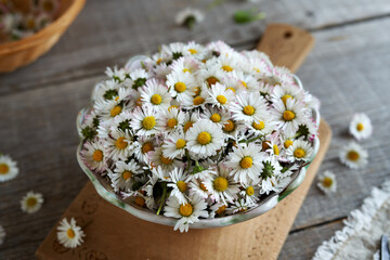 Lawn daisy flowers in a bowl on a table