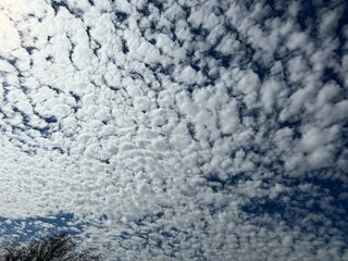 Fototapeta premium cloudy sky