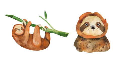 Wild sloth watercolor funny marsupial cute animal hanging on a tree hand drawn in watercolor. Aquarelle clipart isolated on white set. © Alina Nikitaeva