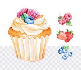 Sweet cupcake with berries. Watercolor hand drawn food illustration