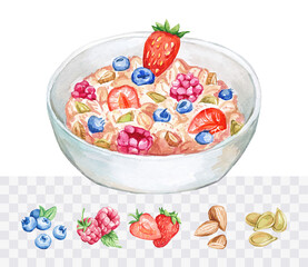 Oatmeal with berry. Watercolor hand drawn food illustration