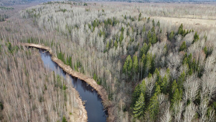 aerial view of spring forest river. beautiful landscape. natural background