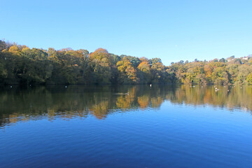 	
Lake at Stover Country Park, Devon, in autumn	