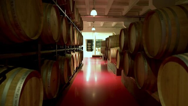 Wine Culture Center Shabo. Shabo plant in Odessa region. Aging of wine in oak barrels in the cellar. Modern technologies of wine production. Grape processing