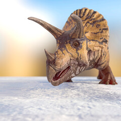triceratops is looking for food on snow background © DM7