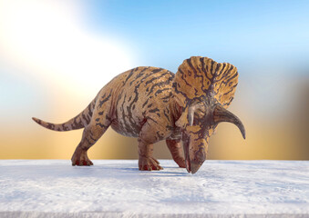 triceratops is tired on snow background © DM7