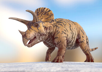 triceratops is walking on snow background © DM7