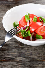 fresh salad of red tomatoes, onions and basil