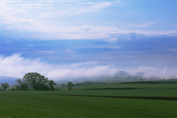 Obraz premium DSC_2015