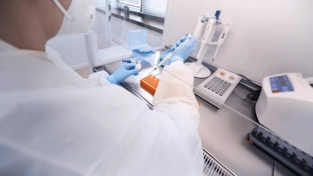 female scientist makes PCR DNA tests in a modern chemical and bacteriological laboratory.