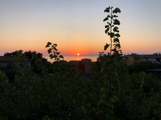 tramonto Praia a Mare