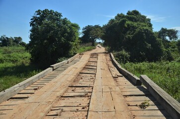 Fototapeta premium ponte pantanal 2