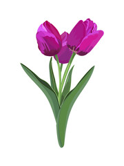 Bouquet of tulips. Vector stock illustration eps10.