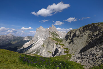 A green meadow leading a scenic view of the Odle mountain range, as seen from Seceda plateau