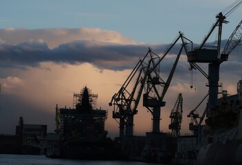 Obraz premium cranes at sunset