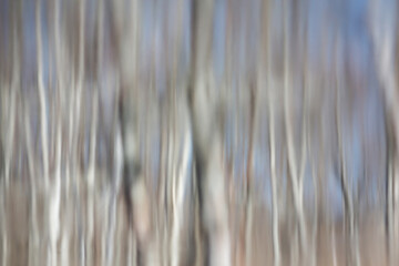 Abstract blurred background. Reflection of tree trunks and the sky in the river. Spring flood. Creative photo.