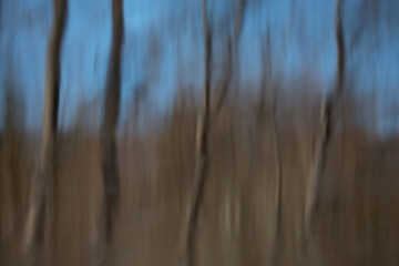 Abstract blurred background. Reflection of tree trunks and the sky in the river. Spring flood. Creative photo.