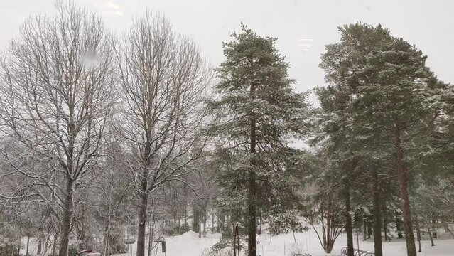 Tranquil snowfall in 4K video in the community ground with branched trees around during the Winter. Cloudy day Outdoor background copy space.