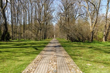 path in the park
