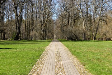 path in the park