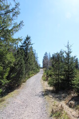 Fototapeta na wymiar Hiking in the Black Forest National Park
