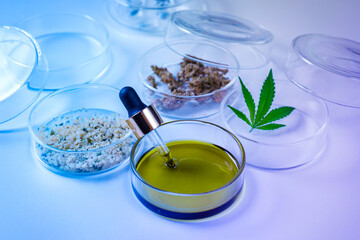 Cannabis oil and hemp leaves in laboratory under neon light. Petri dishes and glassware on lab...