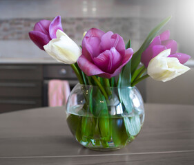 tulip flower in a vase in the room
