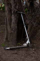 Silver metal scooter near the tree