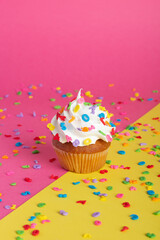 Decorated cupcake with a candle amidst scattered confetti on a dual-tone backdrop.