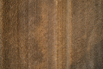 harvest of wheat almost finished