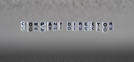 company director word or concept represented by black and white letter cubes on a grey horizon background stretching to infinity