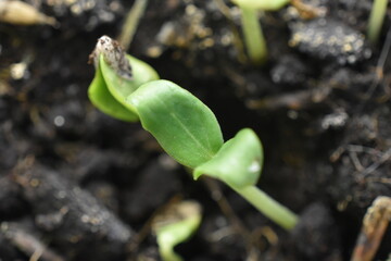 Macro 4 Mai 2022 