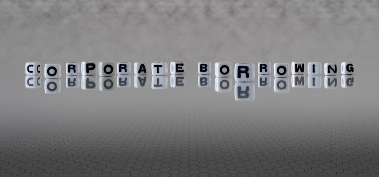 corporate borrowing word or concept represented by black and white letter cubes on a grey horizon background stretching to infinity