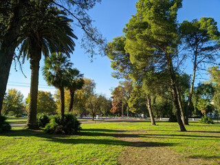 beautiful landscape of a public park with palm trees, pines and green grass. Blue sky and in the distance some unrecognizable people riding bikes or walking.